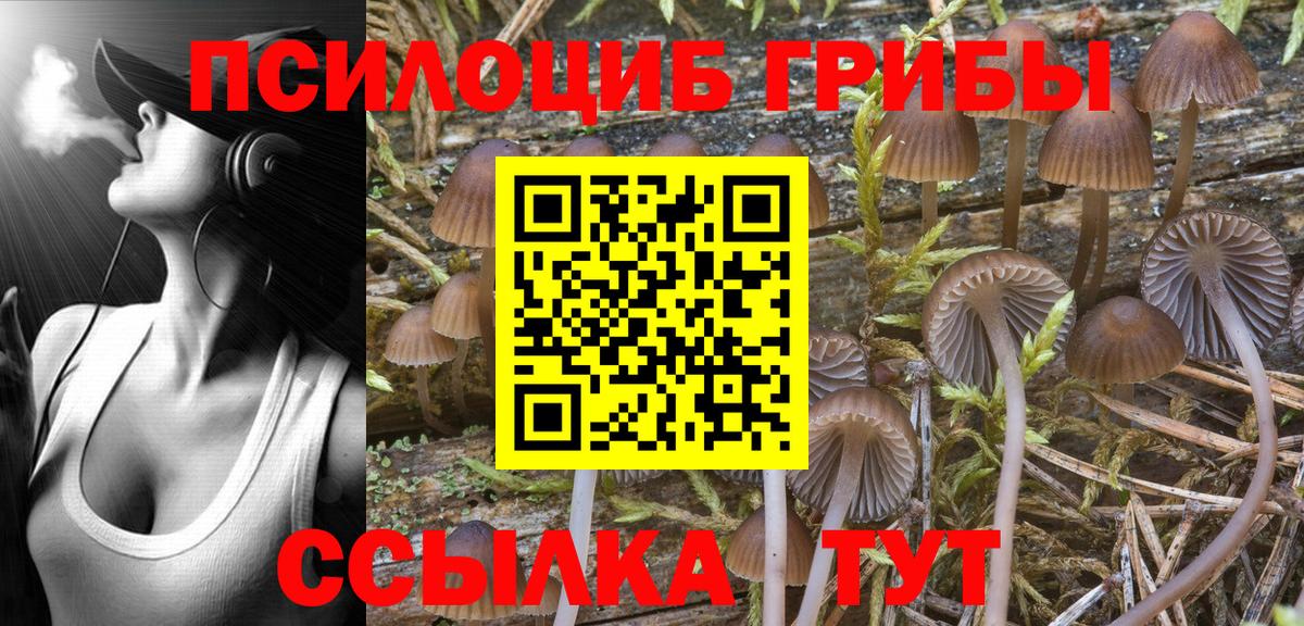 Галлюциногенные грибы мицелий Ирбит