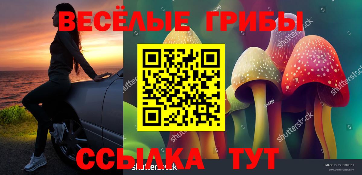 дарнет шоп  Псилоцибиновые грибы Psilocybe  Вход с VPN  Ирбит 